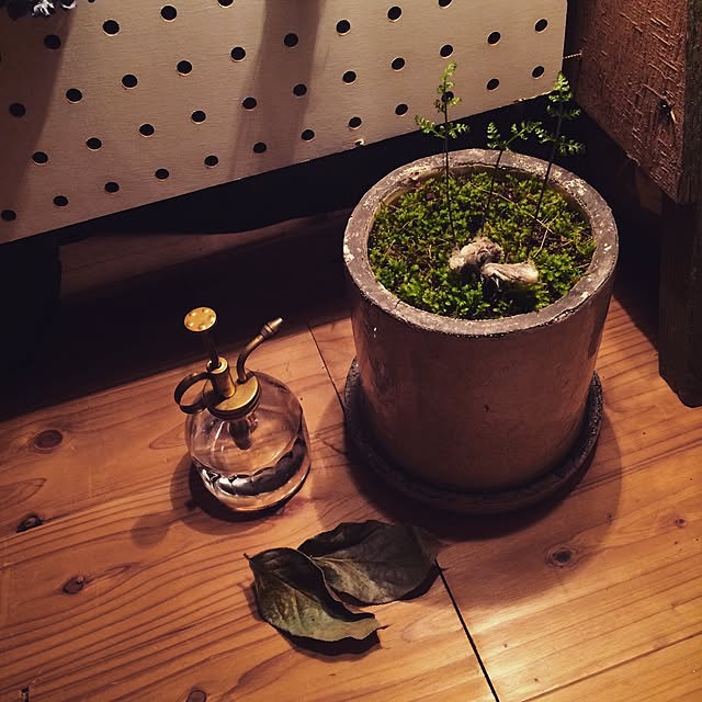 kapock___さんの実例写真