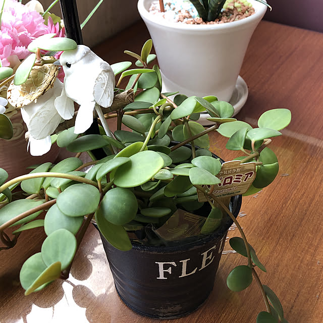 chibiさんの実例写真