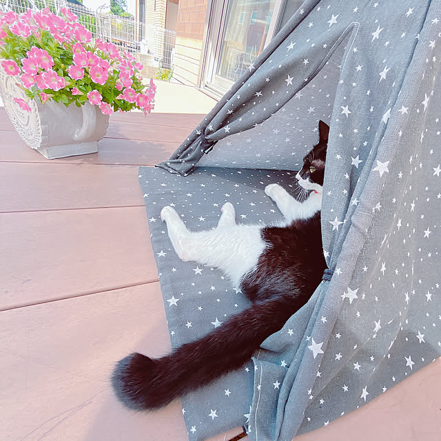 moolさんの部屋