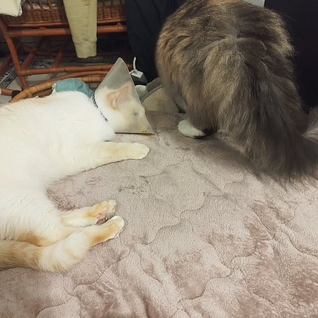 Yさんの部屋