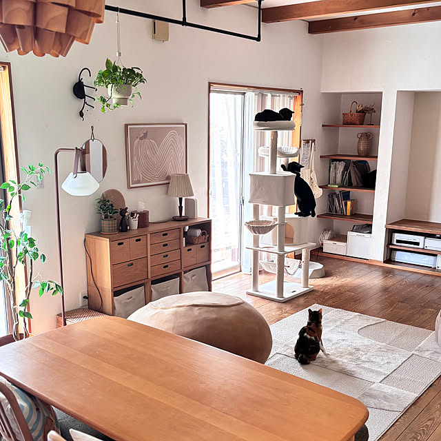 puu.tuuliさんの部屋