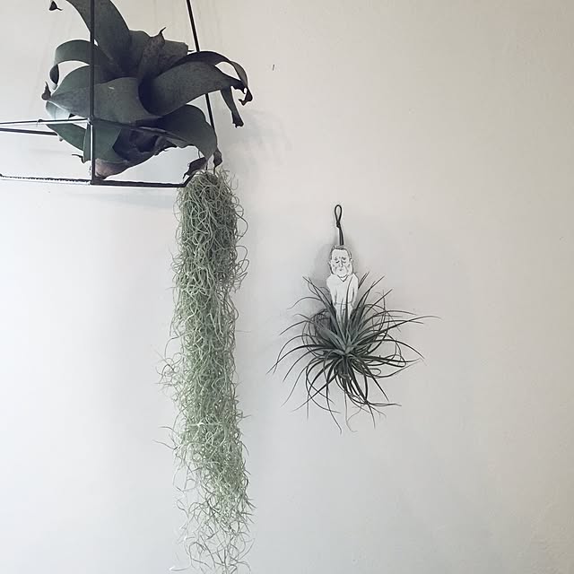 romimushiさんの実例写真