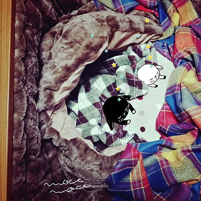 moco-mocoさんの実例写真