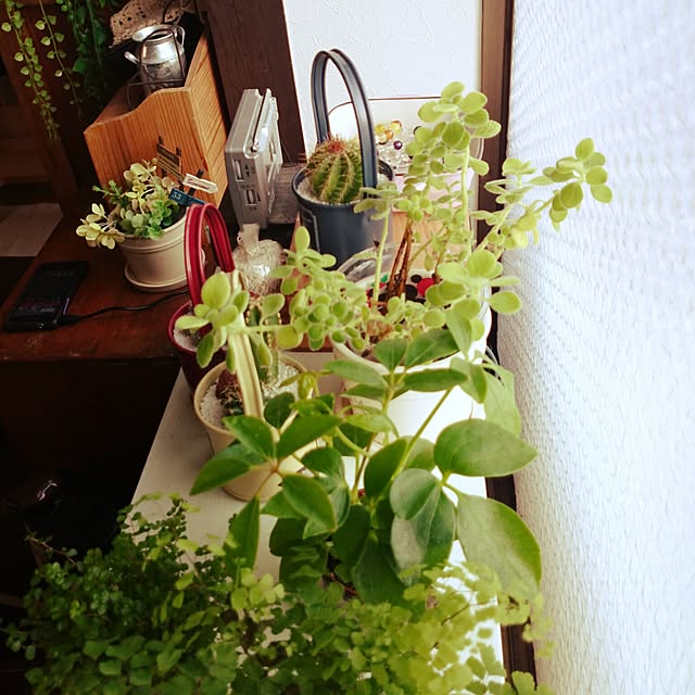 emiさんの実例写真