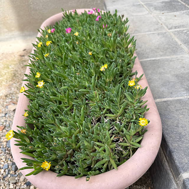 sakakenさんの部屋