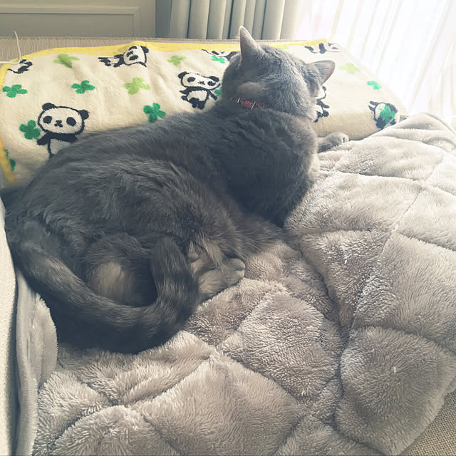 mk_0501さんの実例写真