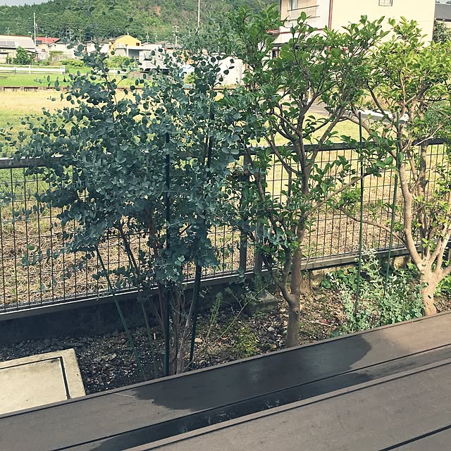 chii.0616さんの実例写真