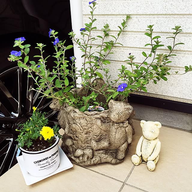 kokemomoさんの実例写真