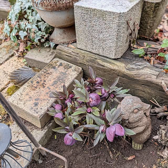 acocoさんの実例写真