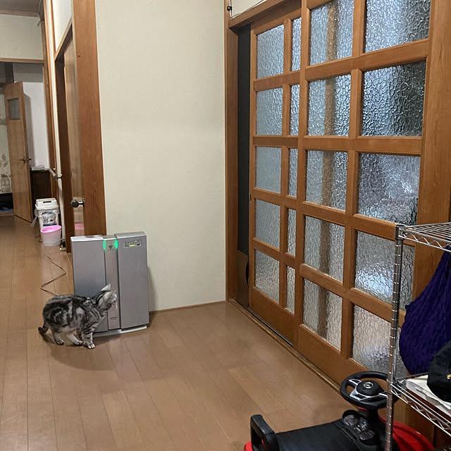 zabonzabonの-【引戸用 幅広ワイド】 引き戸用 襖 引き戸用 ペットドア 犬 猫用 キャットドア 工事不要  後付け ふすま 引戸 出入り口 DIY  小型犬 猫 送料無料の家具・インテリア写真
