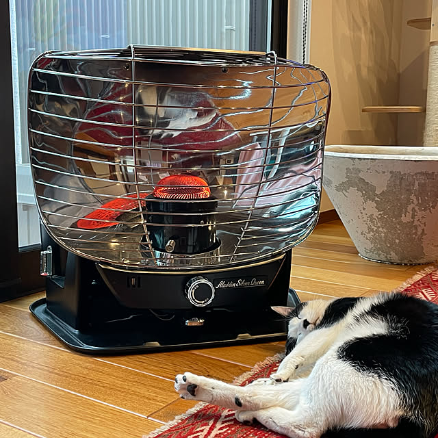 maruさんの実例写真