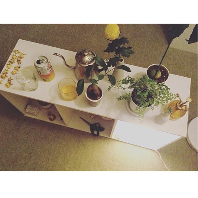 sasakiさんの実例写真