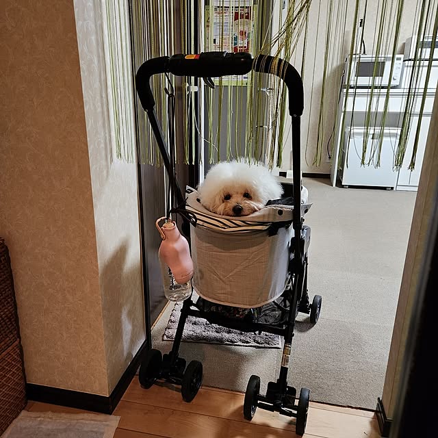 takoさんの部屋