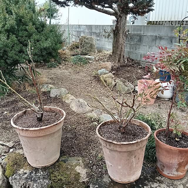 sumimarumiさんの部屋