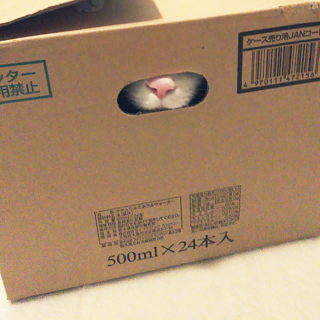 futukoさんの実例写真