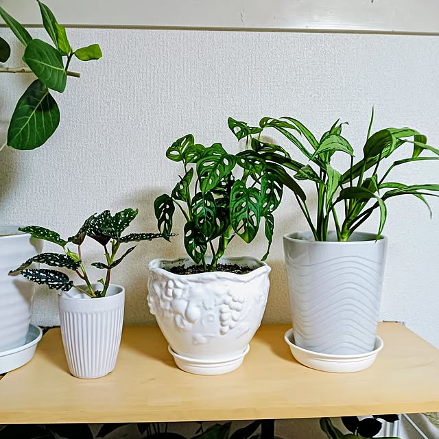 hanachanさんの部屋