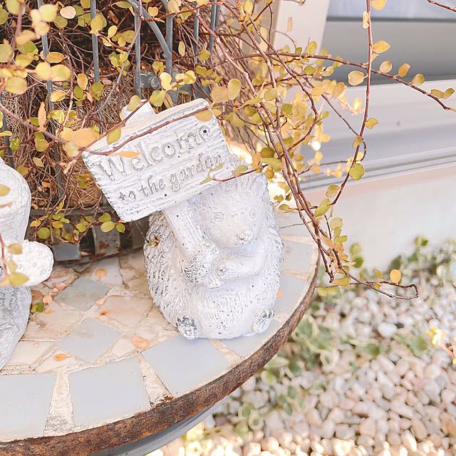 akiko-ovさんの部屋