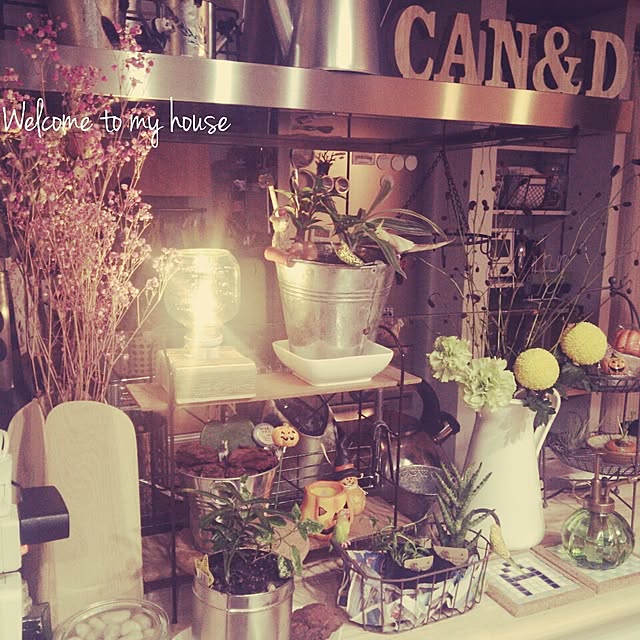 can--dさんの実例写真