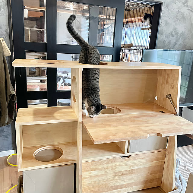 Yukinekoさんの部屋