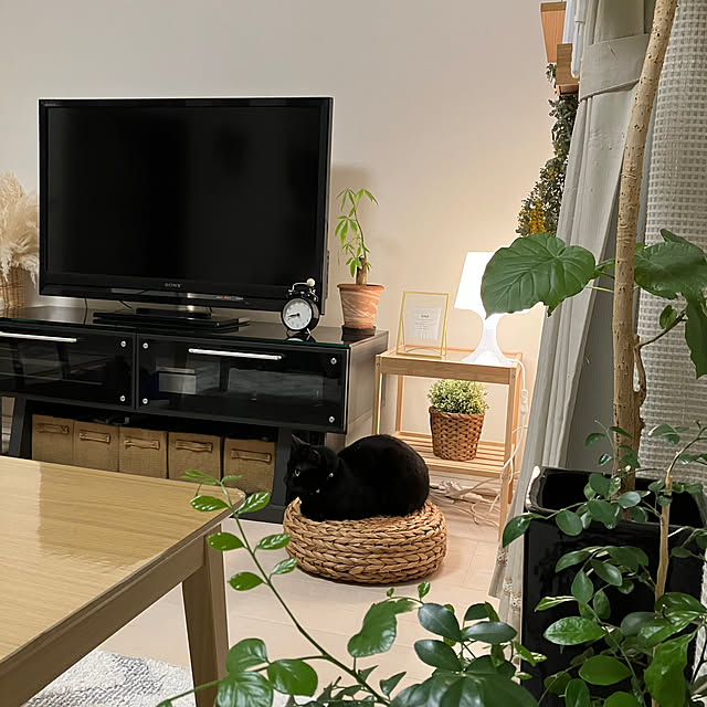 nekomiさんの実例写真