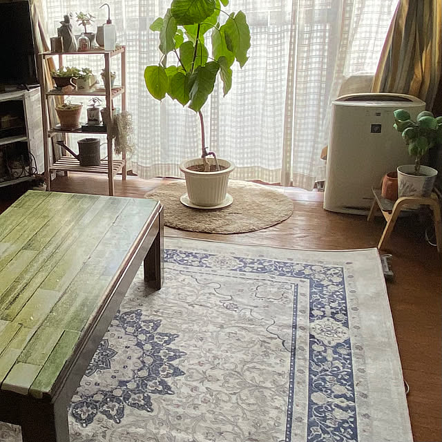 mamiさんの実例写真