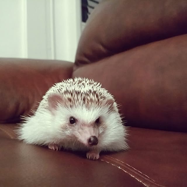 kuruさんの実例写真