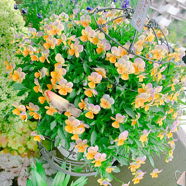 Tenさんの実例写真
