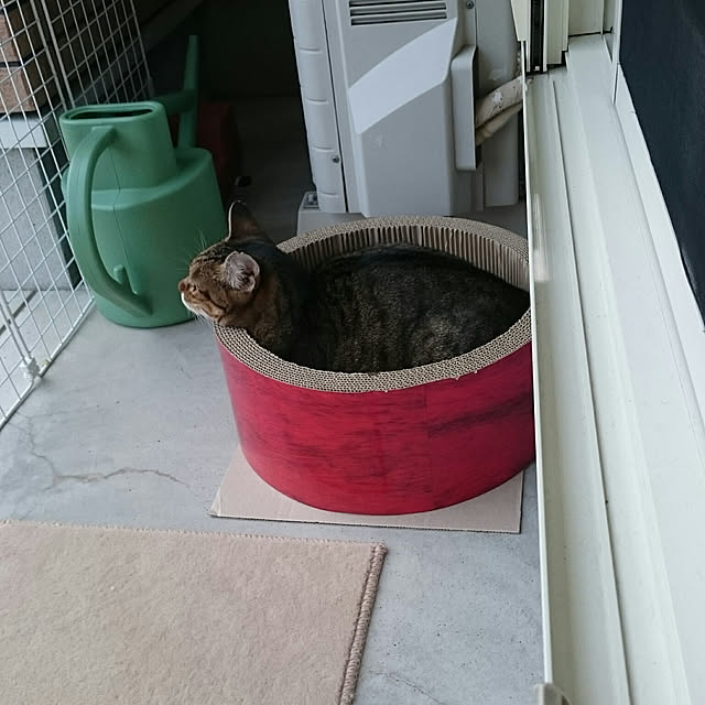 lilyさんの実例写真