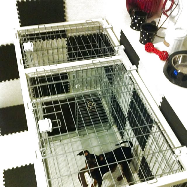 mayuさんの実例写真