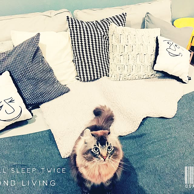 LIKEさんの実例写真