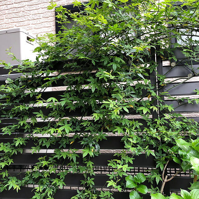 CoffeeHouseさんの部屋