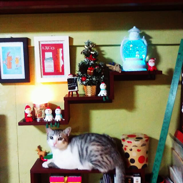 syungikuさんの実例写真
