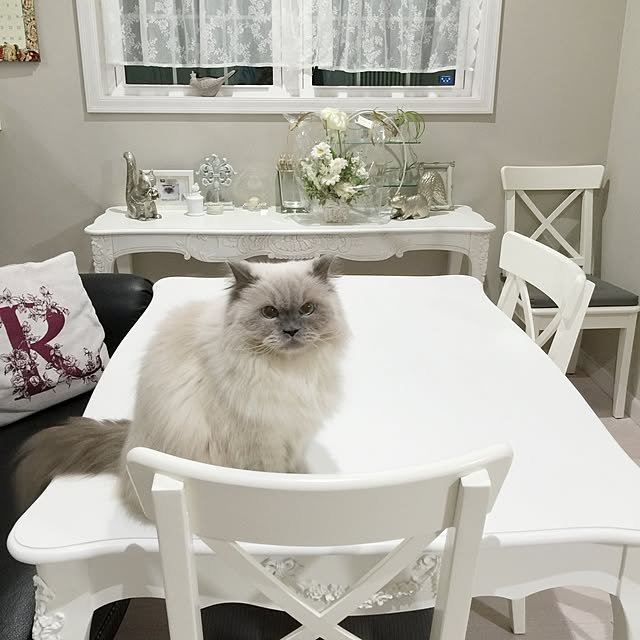 yuchiさんの実例写真
