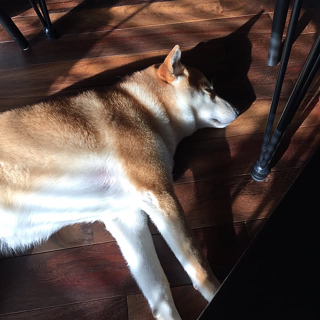 Makikoさんの実例写真