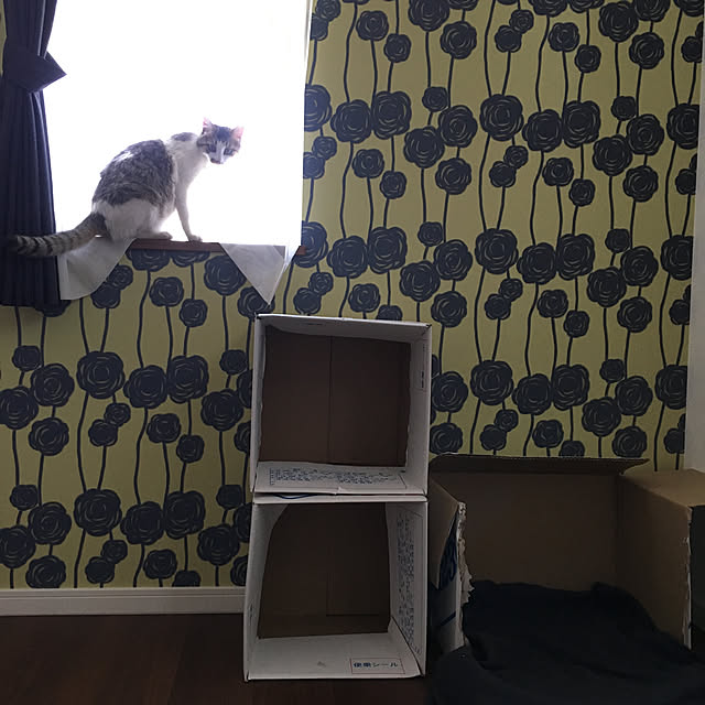 piyolandさんの実例写真
