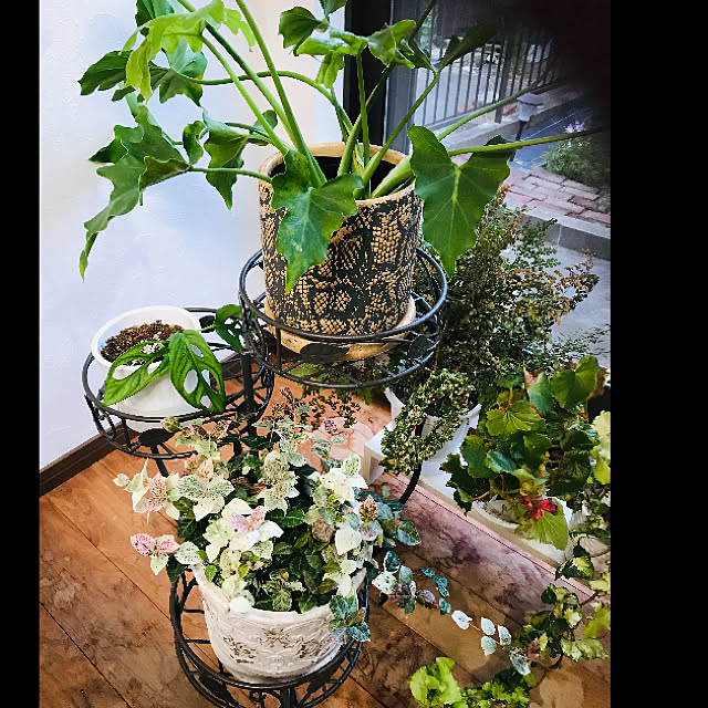 実例写真