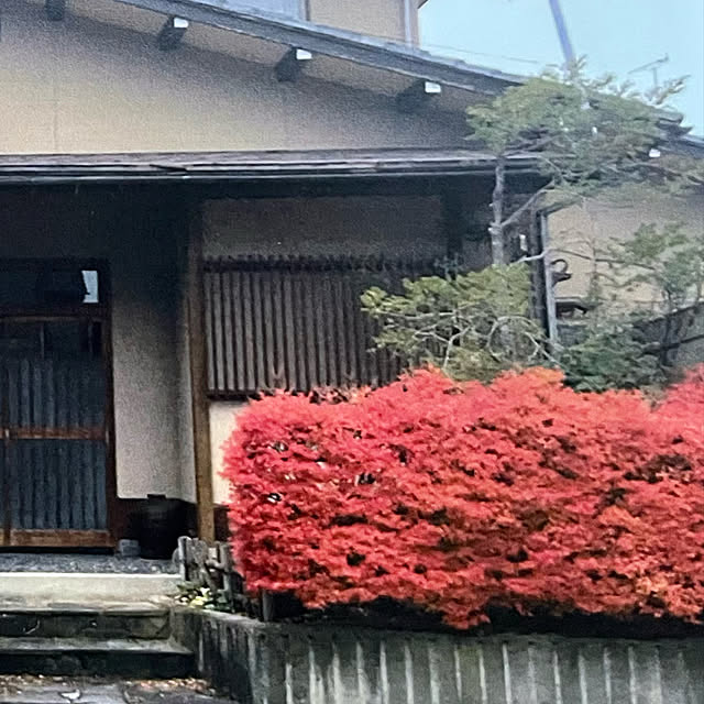 kakoさんの実例写真