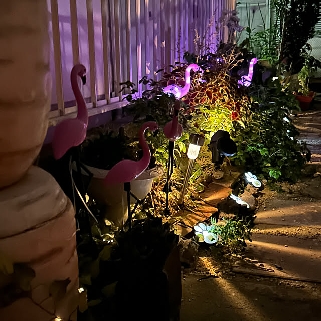 ikunyanさんの部屋