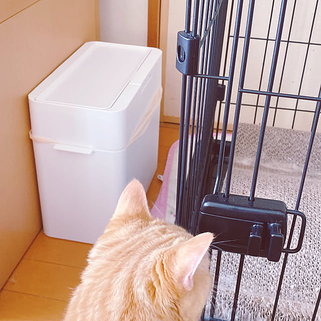moolさんの部屋