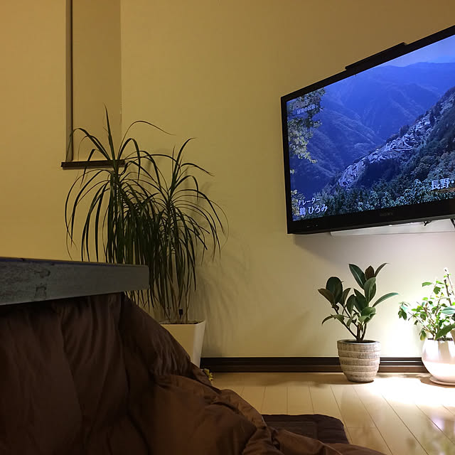 mac.bonbonさんの実例写真