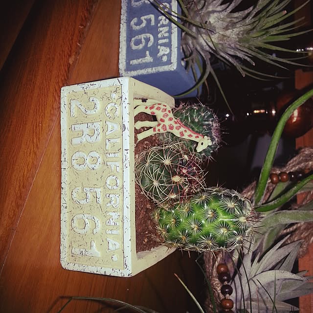 kumiさんの実例写真