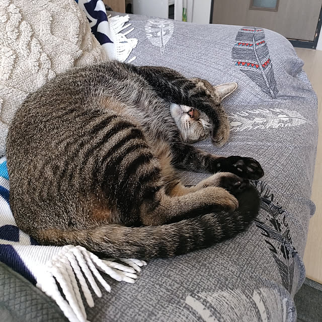 cocomintさんの実例写真