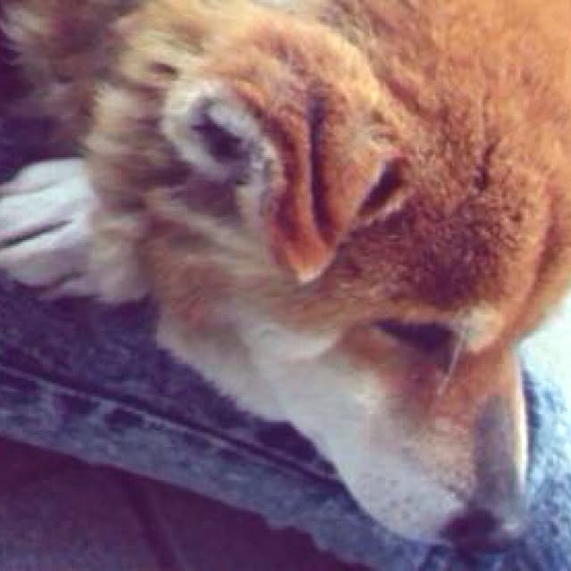 yukiさんの実例写真