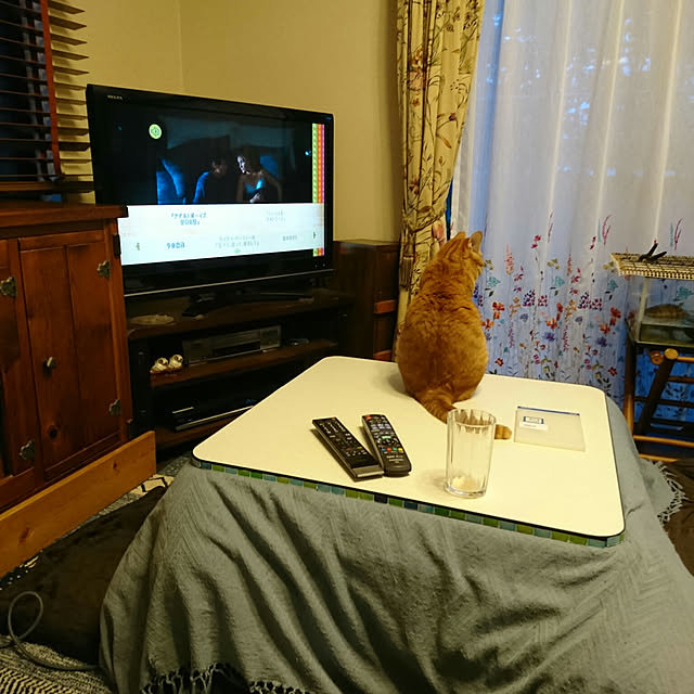 okyosan101さんの実例写真