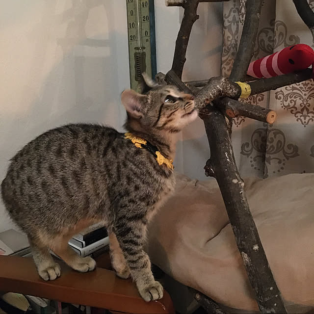 Mさんの実例写真