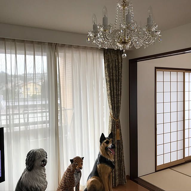 実例写真