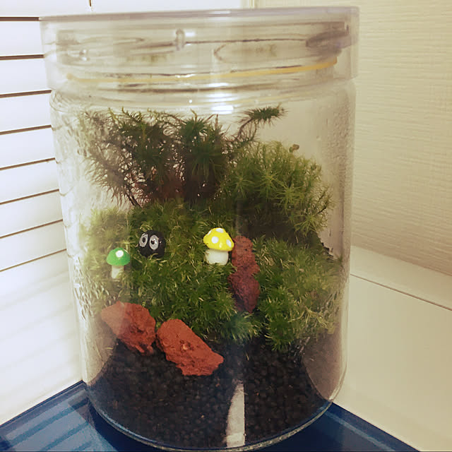 momiji0423さんの実例写真