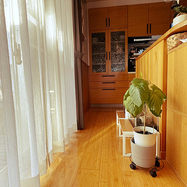 wakaba223さんの実例写真