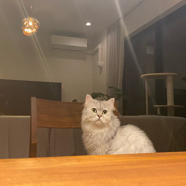 wataame.ameさんの実例写真