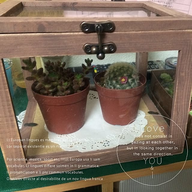 chirinさんの実例写真